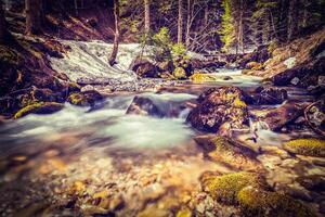 Cascade de sibli chute d'eau. rottach Egern, Bavière, Allemagne photo