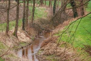 printemps temps dans Allemagne près barlo photo