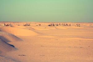 Tunisie. quelque part sur Sahara désert près douz... photo