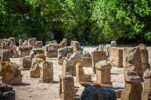 Tunisie. ancien Carthage. le tophet - plein air zone avec stèles photo