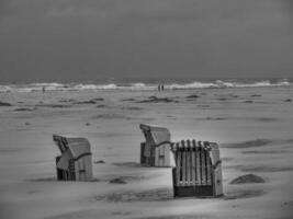 le île jus photo