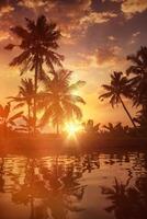 le coucher du soleil sur Kerala backwaters photo