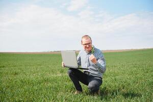 agriculteur permanent dans une blé champ et à la recherche à ordinateur portable, sont examiner corp. Jeune Beau agronome. secteur agroalimentaire concept. agricole ingénieur permanent dans une blé champ photo