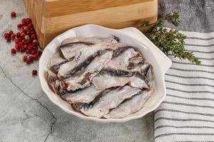 anchois en conserve poisson filet préserver photo