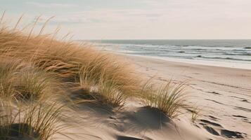 ai généré une proche en haut vue de une paisible plage avec d'or le sable dunes captivant de le sable et mer photo