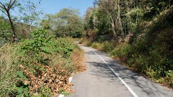 verticale chemin de asphalte route et courbe devant. deux à côté de avec vert herbe et des arbres forêt. en dessous de bleu ciel. proad autour Kaeng Krachan réservoir île. Phetchaburi, Thaïlande. photo