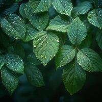 ai généré brillant détrempé par la pluie feuilles dans une forêt photo