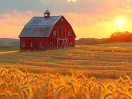 ai généré rustique Grange dans une d'or champ à le coucher du soleil photo