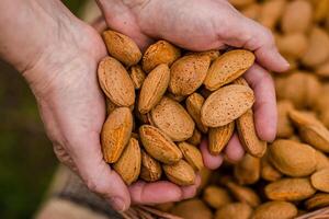 amande des noisettes dans une panier sur une en bois Contexte. photo