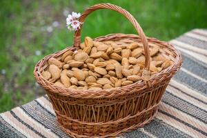 amande des noisettes dans une panier sur une en bois Contexte. photo