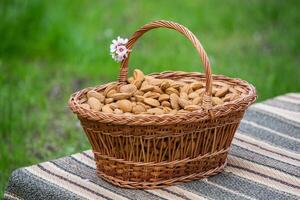 amande des noisettes dans une panier sur une en bois Contexte. photo