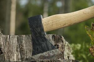 hachette ou hache coincé dans une arbre souche contre forêt photo