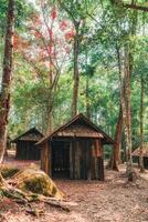 patiné en bois cabane avec rouge érable feuilles dans tropical forêt tropicale à nationale parc photo