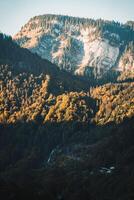 lumière du soleil brillant sur Montagne de pointe avec pin forêt dans l'automne à français Alpes photo