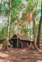 patiné en bois cabane avec rouge érable feuilles dans tropical forêt tropicale à nationale parc photo