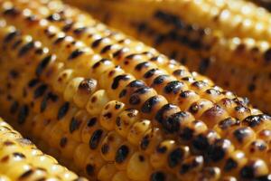 proche en haut de grillé blé Contexte photo