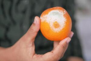 femme en portant une pourri orange. moisi Orange photo