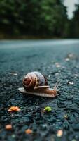 ai généré matière escargot rampant sur asphalte après pluie, lent rythmé la nature activité verticale mobile fond d'écran photo