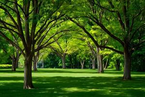 ai généré luxuriant vert pelouse et des arbres créer une tranquille parc scène photo