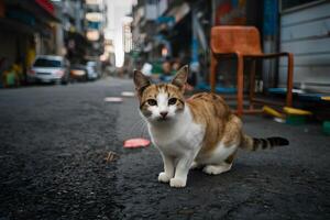 ai généré gratuit fougueux chats errer des rues indépendamment, incorporant Urbain résistance photo