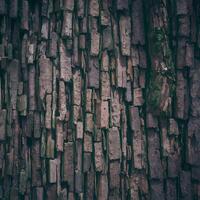 ai généré arbre aboiements rugueux surface texture ajoute Naturel élément à Contexte pour social médias Publier Taille photo