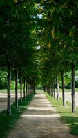 ai généré ruelle doublé avec Jeune des arbres des offres serein été parc échapper verticale mobile fond d'écran photo