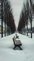 ai généré nord europes solitude capturé dans vide Publique banc scène verticale mobile fond d'écran photo