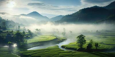 ai généré délicieux chinois en terrasse riz champ pendant récolte saison. brouillard dans le Matin. génératif ai photo