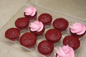 rouge velours petits gâteaux dans Plastique plateau prêt à être décoré. photo