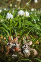 une doux fleur fleur dans une la nature jardin photo