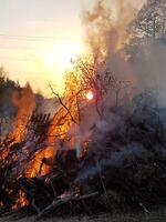 une feu des brûlures dangereusement dans une champ photo