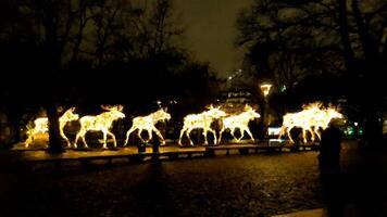 lumineux élan trot à nuit sur le rue dans Scandinavie dans numérique La peinture style photo