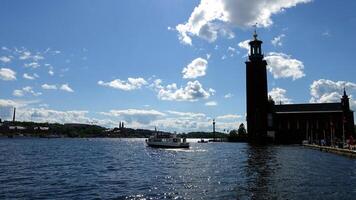le silhouette de un de Stockholm historique bâtiments vu de le mer côté photo