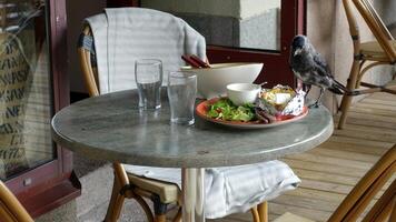 une corbeau a atterri sur une table à picorer à le restes la gauche par une client. photo