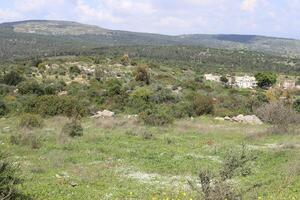 paysage dans les montagnes du nord d'israël. photo