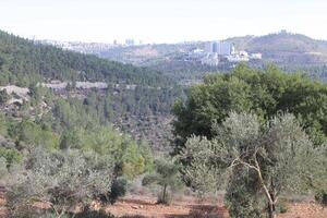 paysage dans les montagnes du nord d'israël. photo