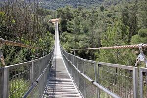 le pont a été construit plus de une gorge et une l'eau obstacle. photo