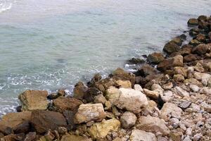 des pierres et coquilles sur le rive de le méditerranéen mer. photo