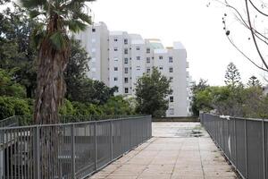 tel aviv Israël 03 28 2024. bâtiments et les structures dans tel aviv par le feuillage de grand des arbres. photo