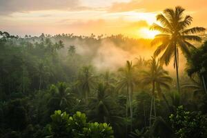 photo lever du soleil plus de bali jungle