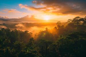 photo lever du soleil plus de bali jungle