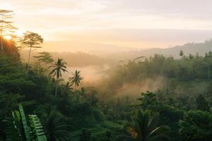 photo lever du soleil plus de bali jungle