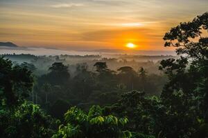 photo lever du soleil plus de bali jungle