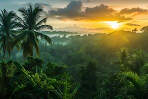 photo lever du soleil plus de bali jungle