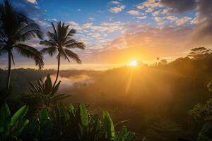 photo lever du soleil plus de bali jungle