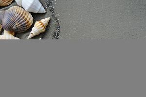 photo copie espace le sable avec coquilles et étoile de mer