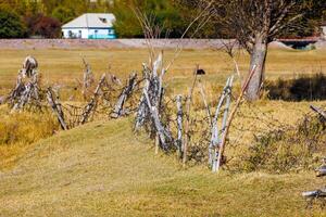 vieux barbelé câble clôture avec vieux des bâtons dans une herbeux Prairie avec une maison dans le Contexte à ensoleillé l'automne journée. photo