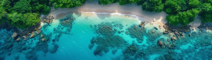 le aérien vue paysage de une tropical été plage et turquoise océan avec vagues bannière Contexte photo