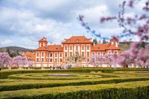 Prague, tchèque république - Mars 17, 2024. cheval de Troie palais dans printemps avec épanouissement Sakura dans Prague, tchèque république. haute qualité photo