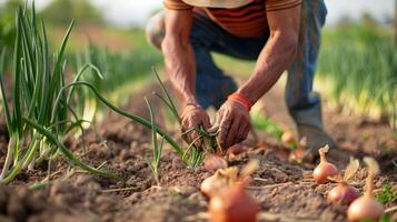 une Jeune agriculteur agriculture oignons. champ paysage de le dos. généré par artificiel intelligence. photo